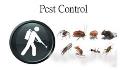 Pest Control Sunshine Coast logo